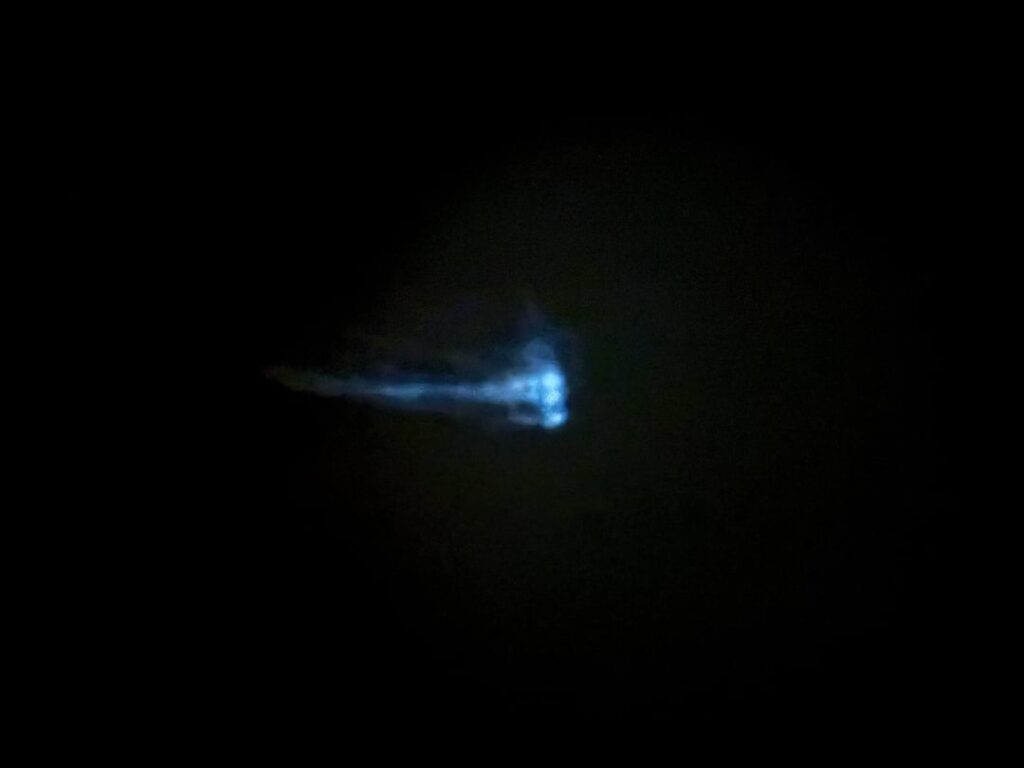 Can anyone identify this blue blur?