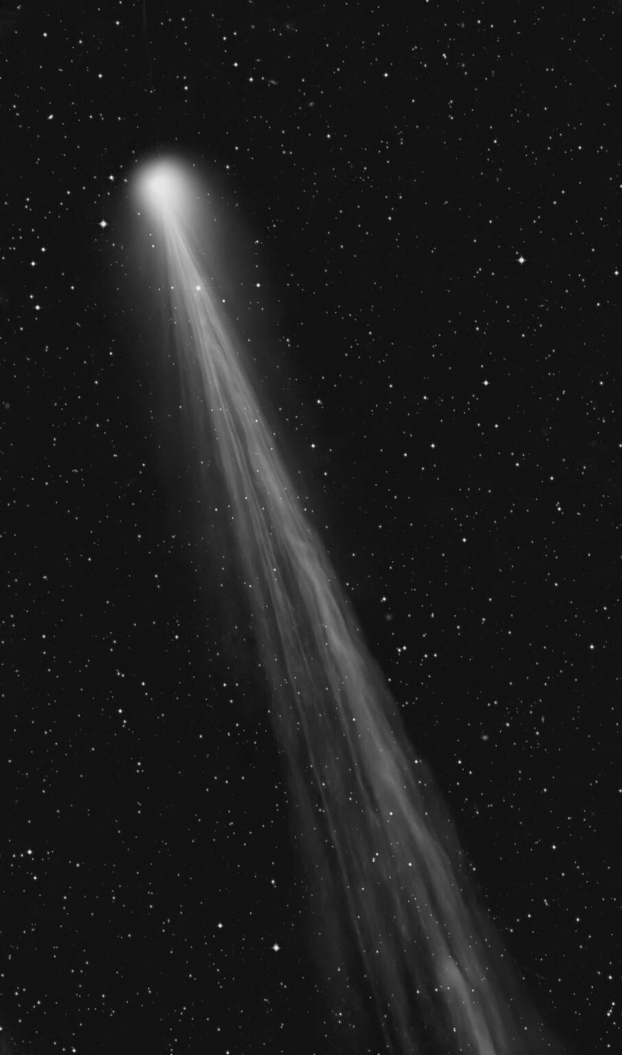 Comet C/2025 R3, by Michael Jaeger, Gerald Rhemann