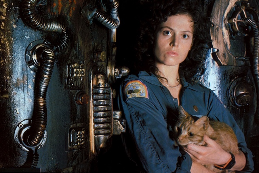 Signourney Weaver poses with an orange cat portraying "Jonesy" on the set of Alien