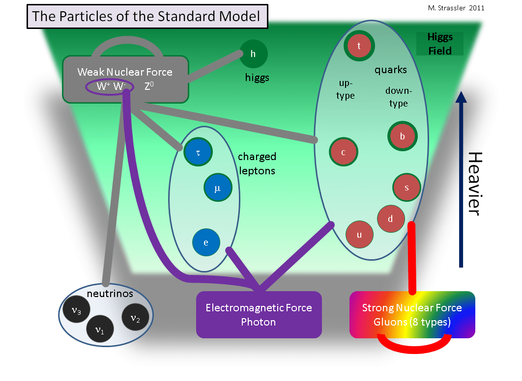 Diagram of the Standard Model illustrating particles from the early universe—quarks, leptons, neutrinos, and the Higgs—their interactions, and forces (weak, electromagnetic, strong), with color-coded groups and a mass gradient arrow.