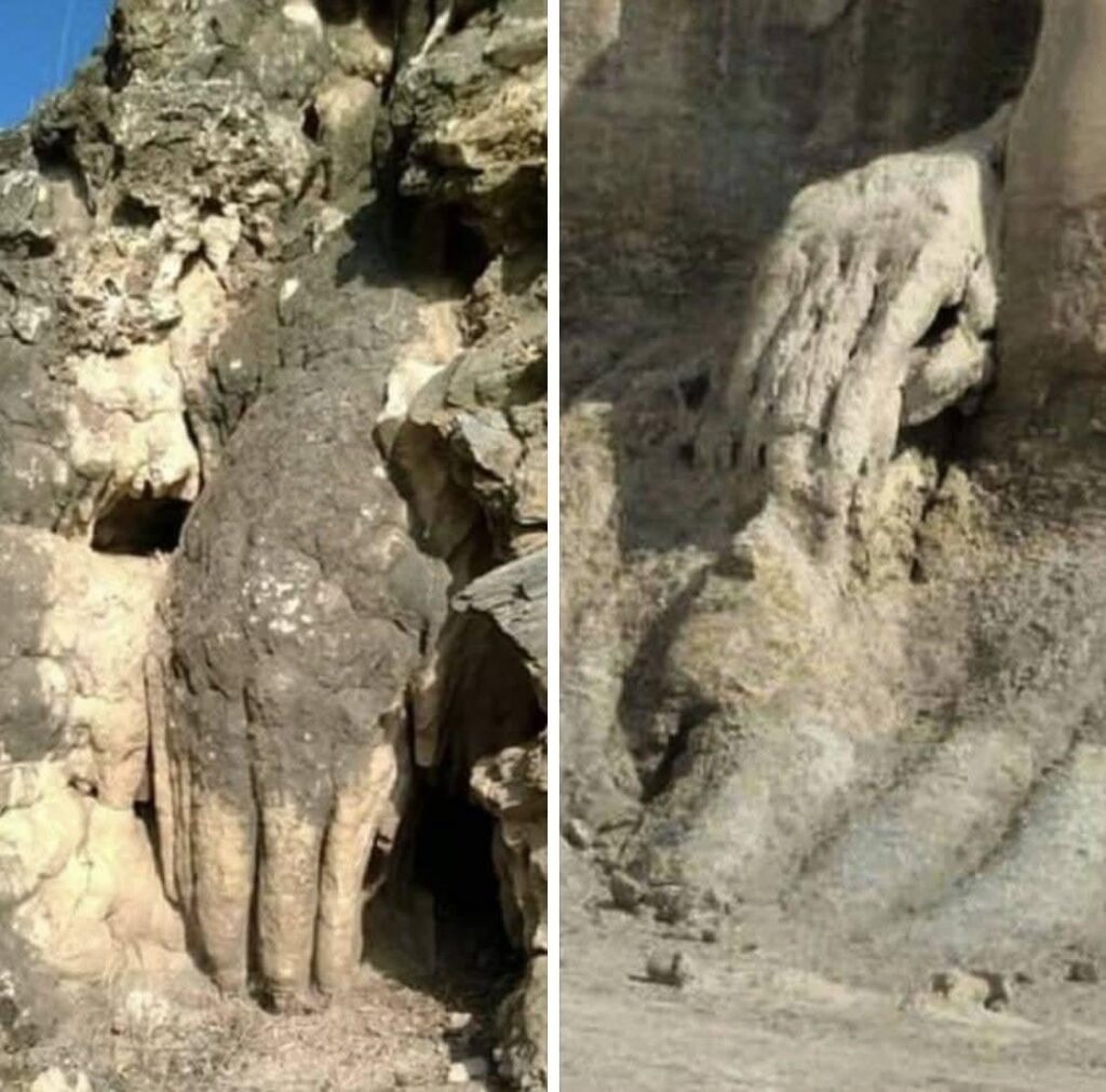 Medusa’s Gaze: Biological Weapon or Flash-Freeze Event?