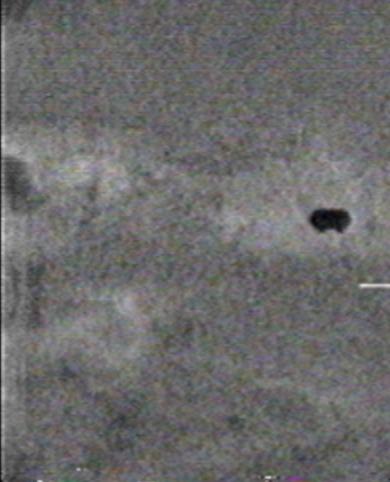 Anyone know this FLIR screen cap?