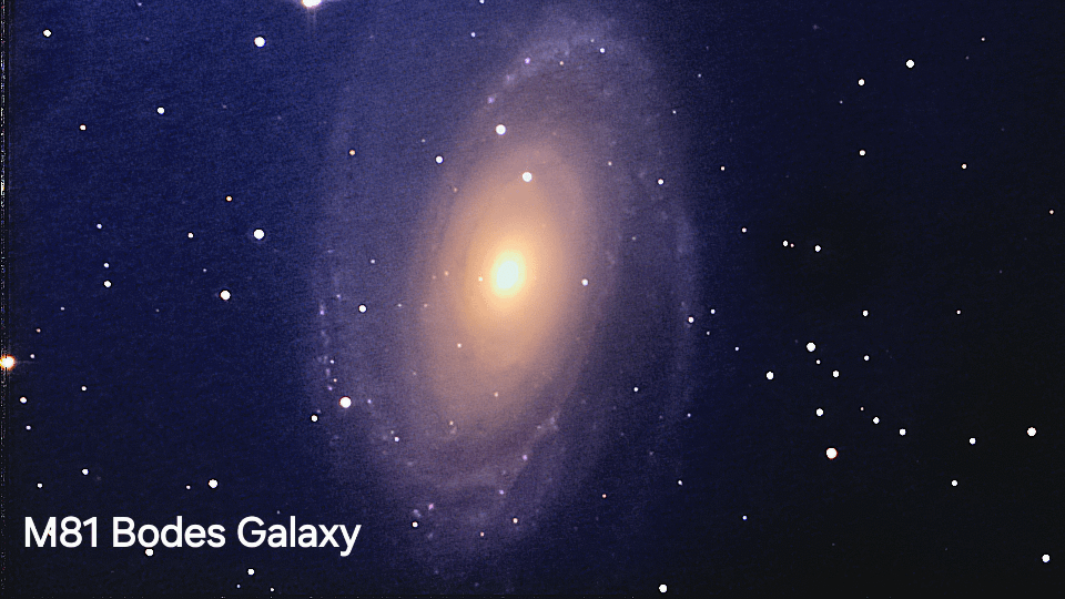 M81 Bodes Galaxy captured from my back yard!