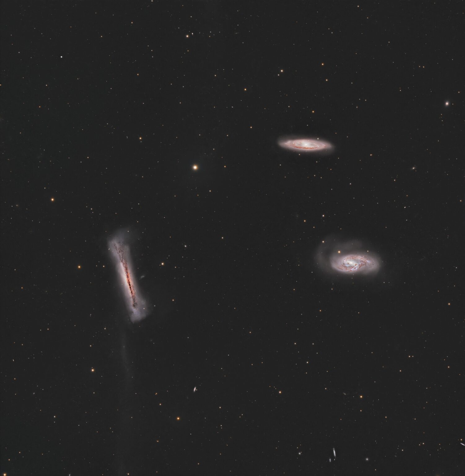 Leo Triplet