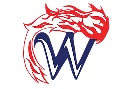 Friday Boys Golf; Comets Place 3rd At Denmark