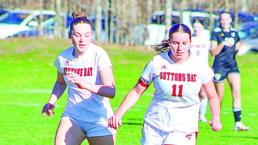 Comets continue to roll