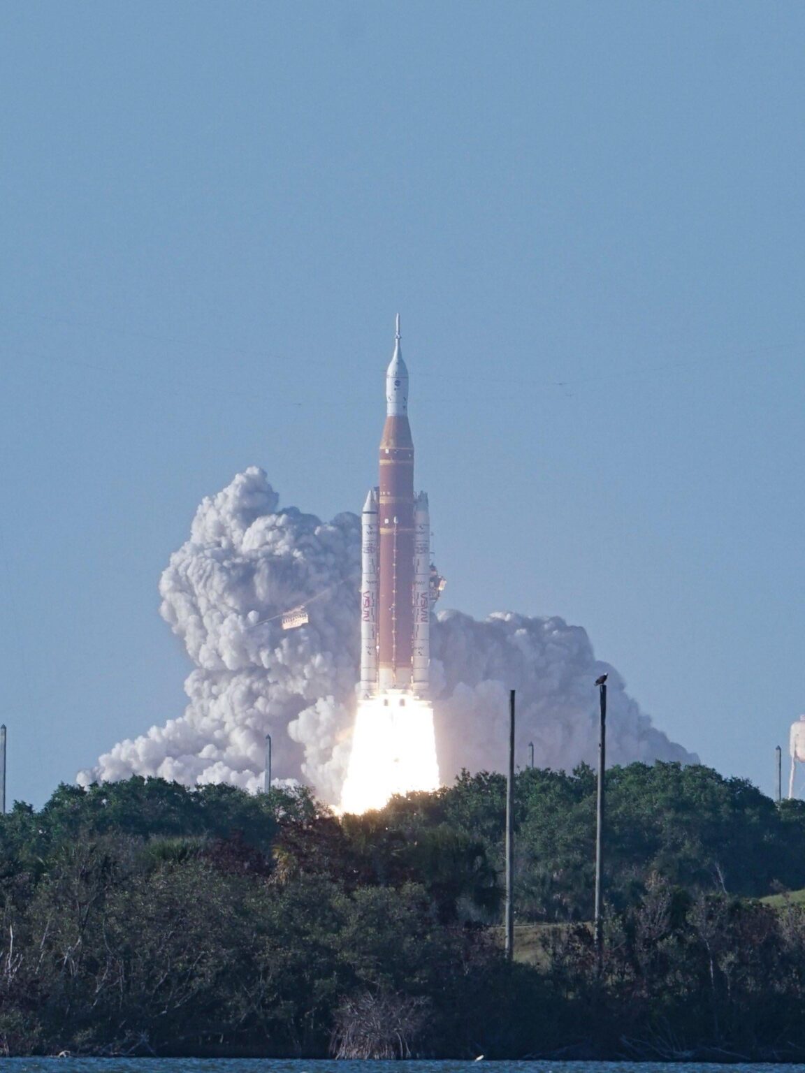 A Bald Eagle watches the Artemis II launch.