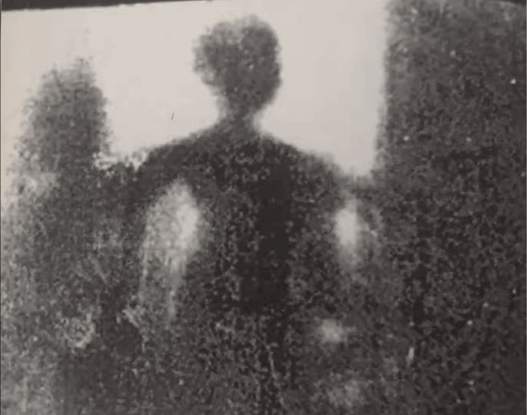 Polaroid pictures of a Gray Alien