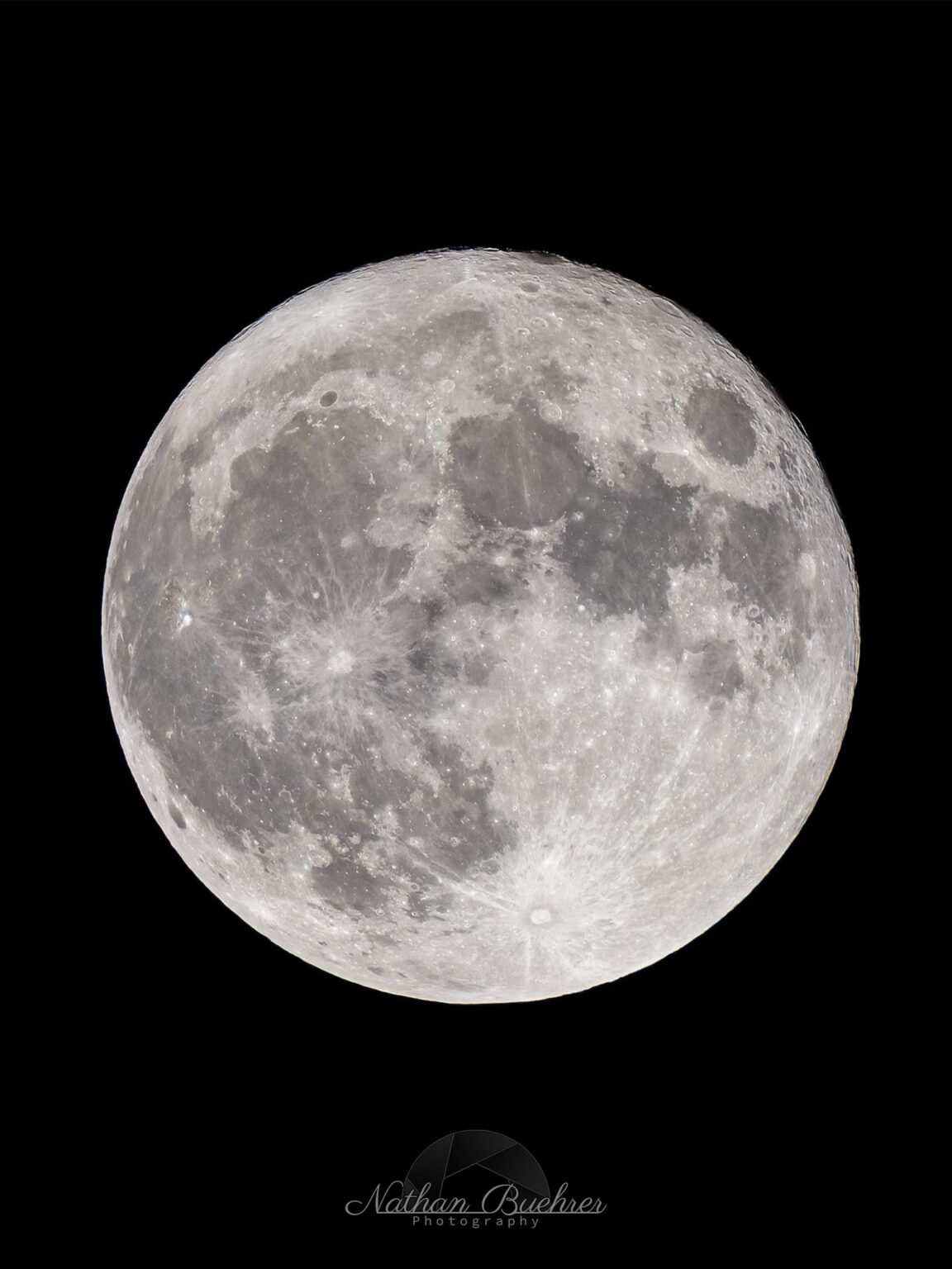 The Flower Moon