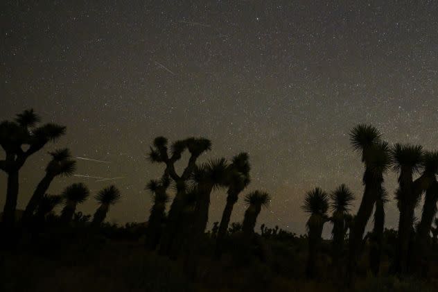 Eta Aquarids meteor showers were captured over behind Joshua trees at Red Rock Canyon State Park in Cantil of California, United States on May 5, 2024.