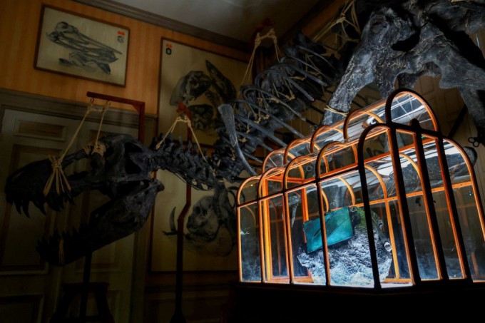 A leather handbag made from protein fragments extracted from a dinosaur fossil was unveiled for the first time last month. Credit: REUTERS/Piroschka van de Wouw TPX IMAGES OF THE DAY.