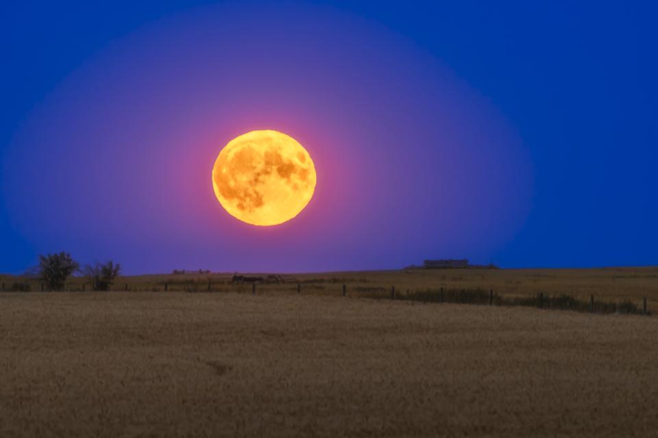 See A Blue Moon, Bits Of Halley’s Comet And Venus: May’s Night Sky