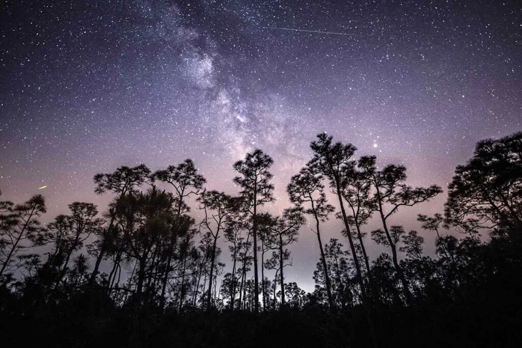 How to Watch the Eta Aquarid Meteor Shower, Including When It Peaks
