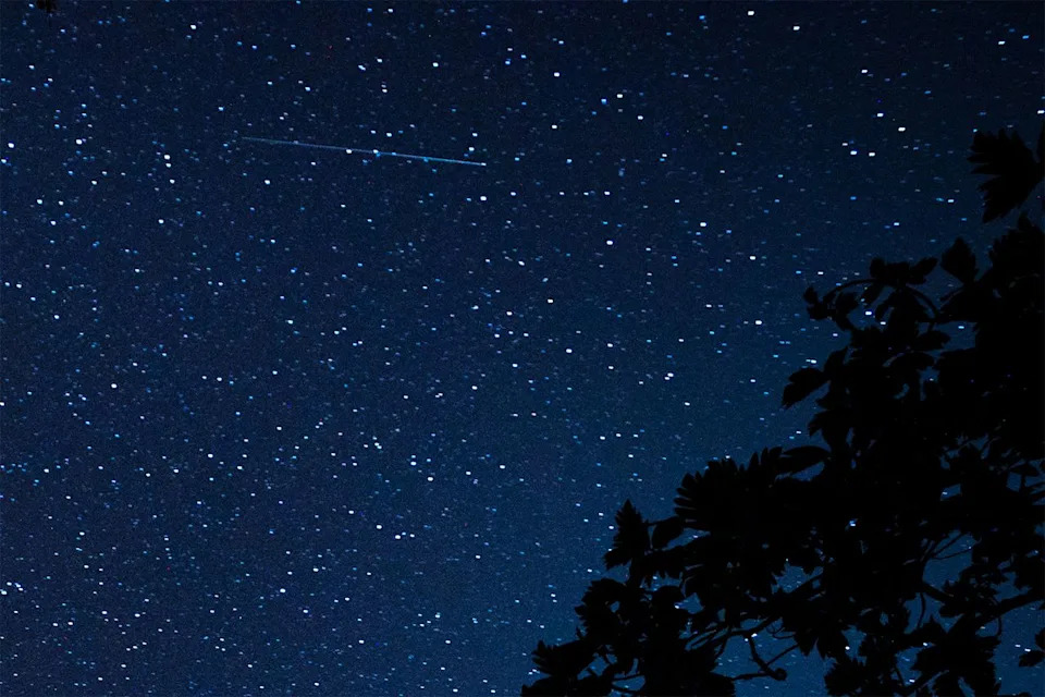 Annual perseid meteorCredit: Thilina Kaluthotage/NurPhoto via Getty