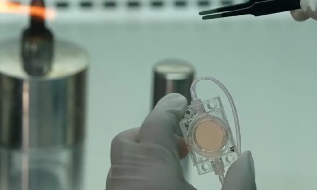 Photo: Screenshot of the video footage introducing the ‘artificial embryos’ space experiment
