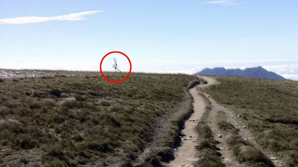Jaw-dropping photo of see-through alien with mantis-style head declared ‘real’ by FBI experts Daily Star