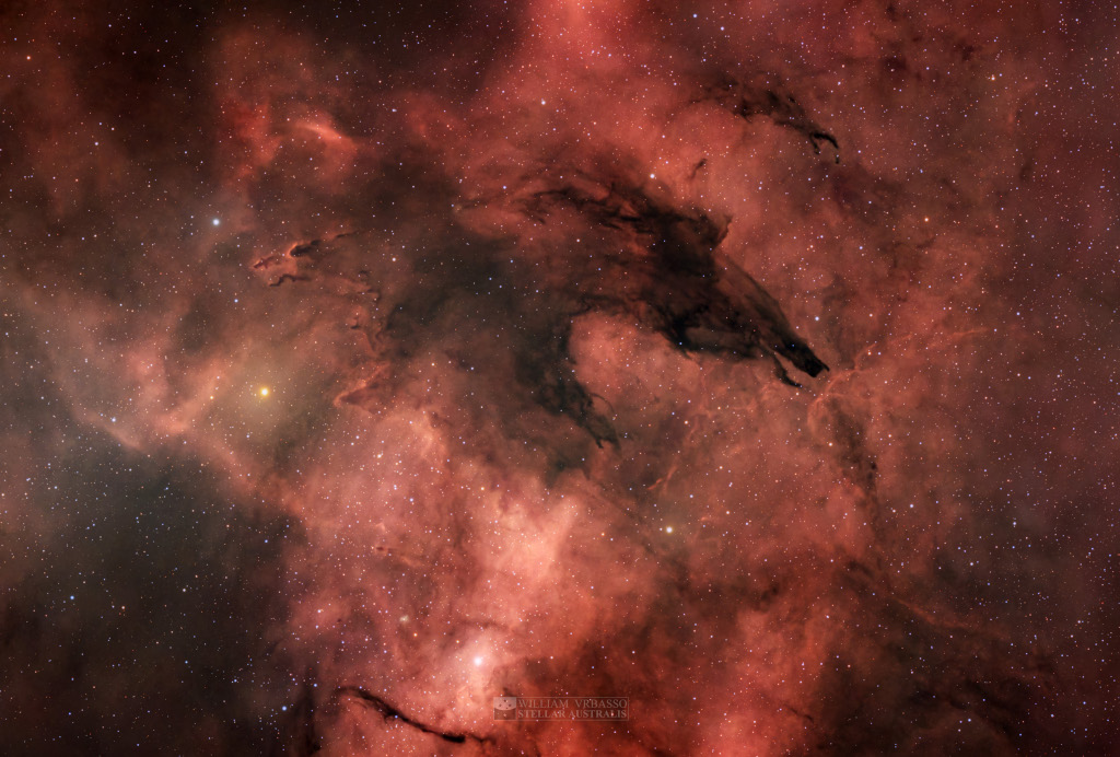 APOD: 2026 May 20 – The Dark Wolf Nebula A dark and whispy cloud blocks the background light from surrounding gas and stars. It resembles the head, snout, and jaws of a wolf.