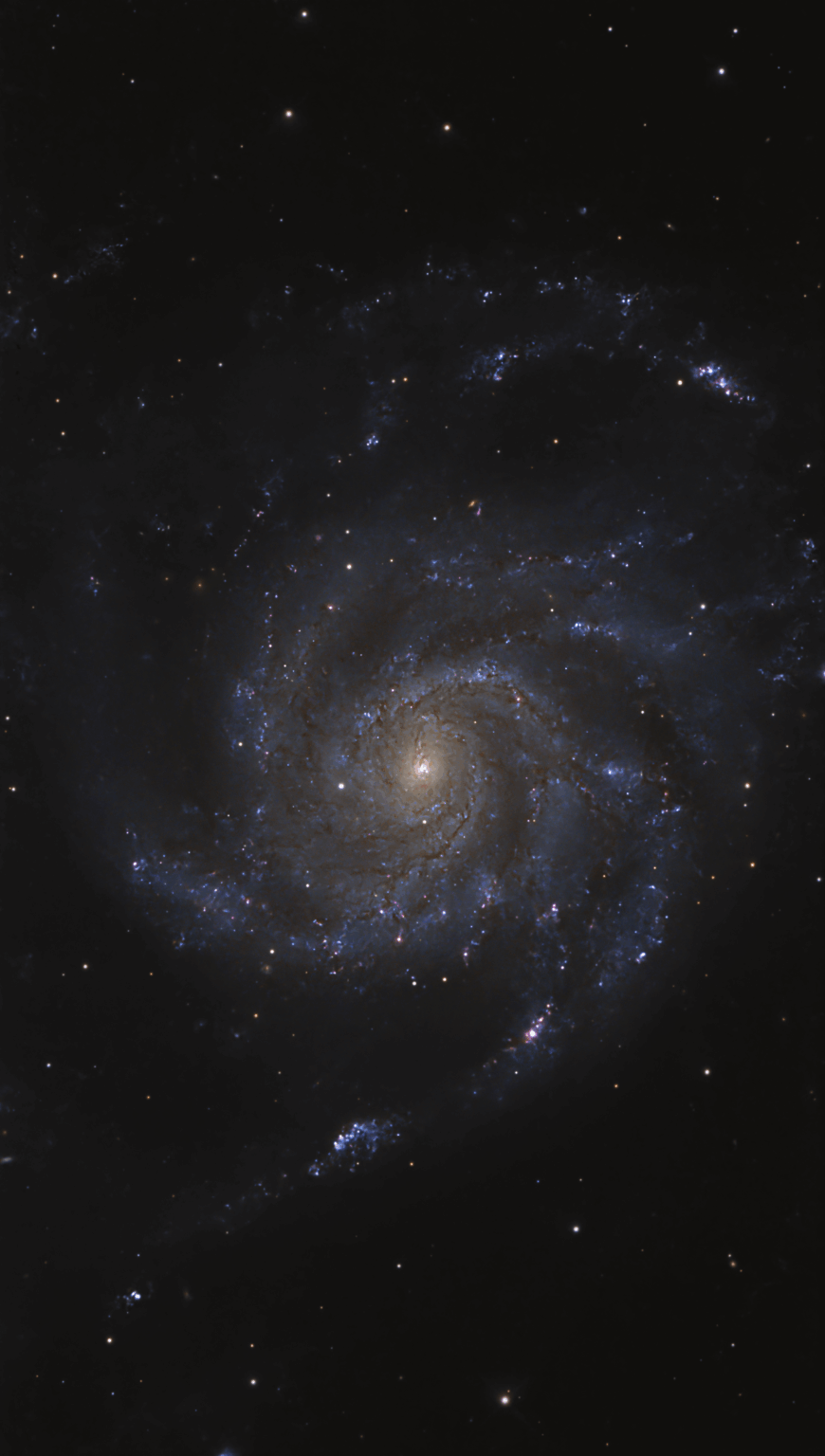 M101 - Pinwheel galaxy
