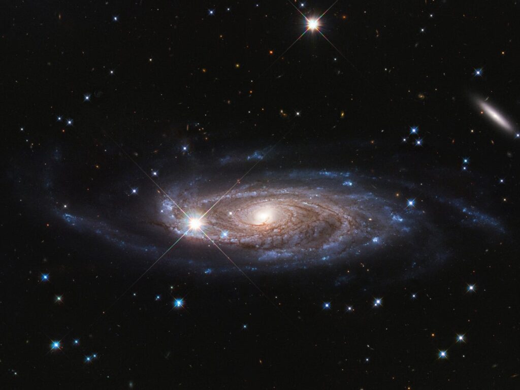 How big can a galaxy get?
