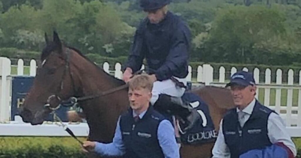Victorious sets up Albany tilt with Naas victory Victorious sets up Albany tilt with Naas victory