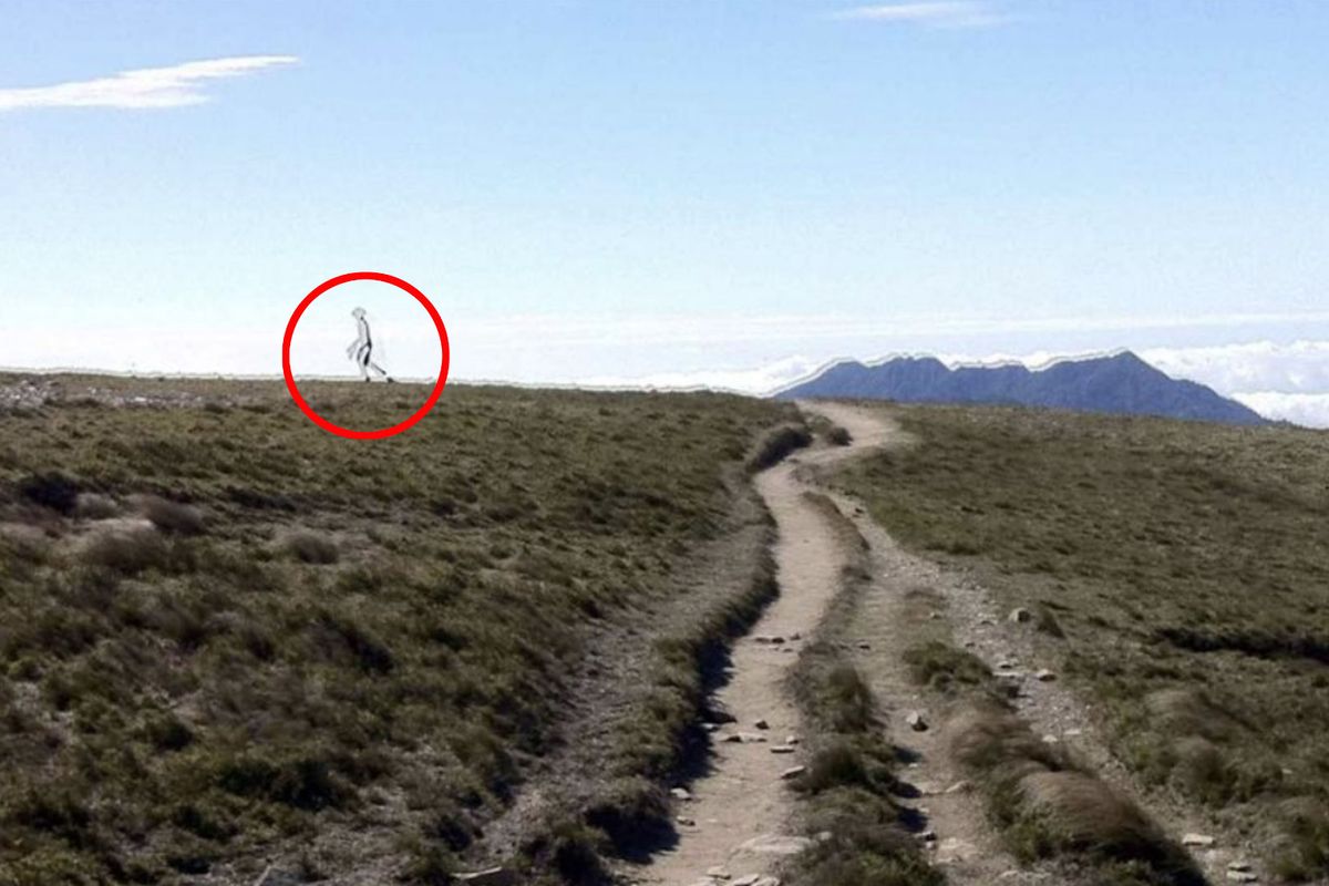 The see through alien is real, say experts
