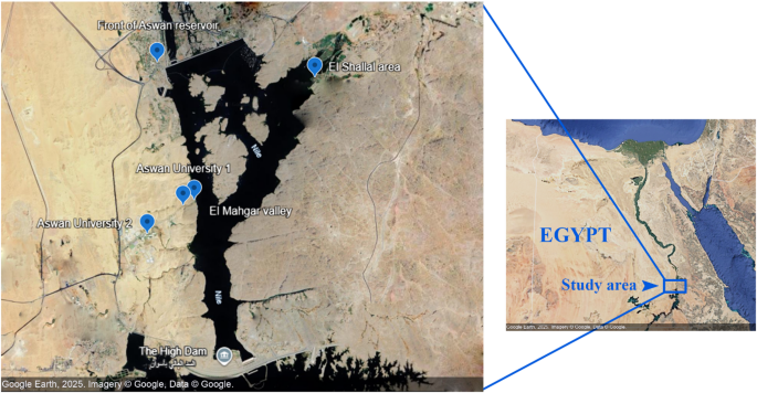 Ecological study on alien Amaranthus spinosus L. in the Egyptian Nile Valley