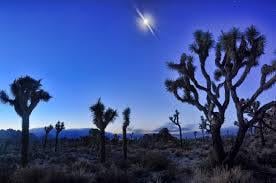 Did a Contact Activist Receive an Alien Implant During Fieldwork, or was I the target of an elaborate hoax?  

Serious