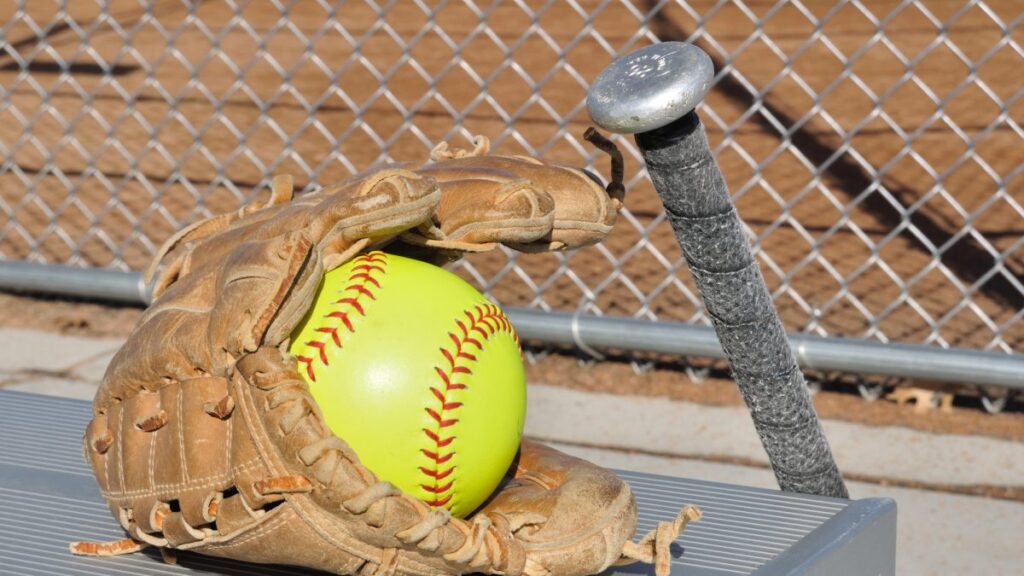 HS Softball: Vikings sweep Comets, Orioles fall at Homer, Chargers sweep Delton