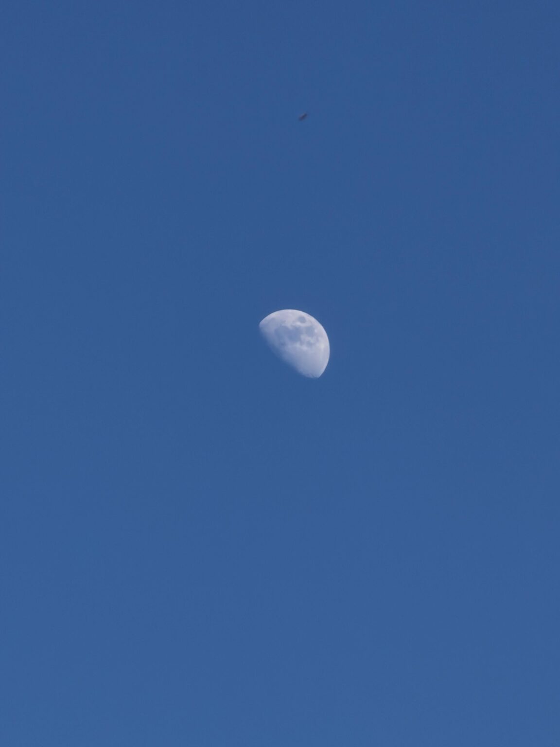 Came for the moon, stayed for the UFO