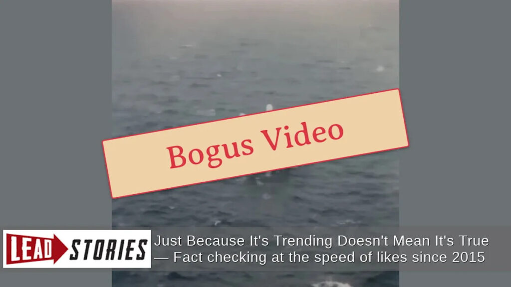 FAKE Declassified 1966 UFO Footage Shows Octopus-Like Creature With 10 Tentacles – AI-Generated FAKE Declassified 1966 UFO Footage Shows Octopus-Like Creature With 10 Tentacles -- AI-Generated