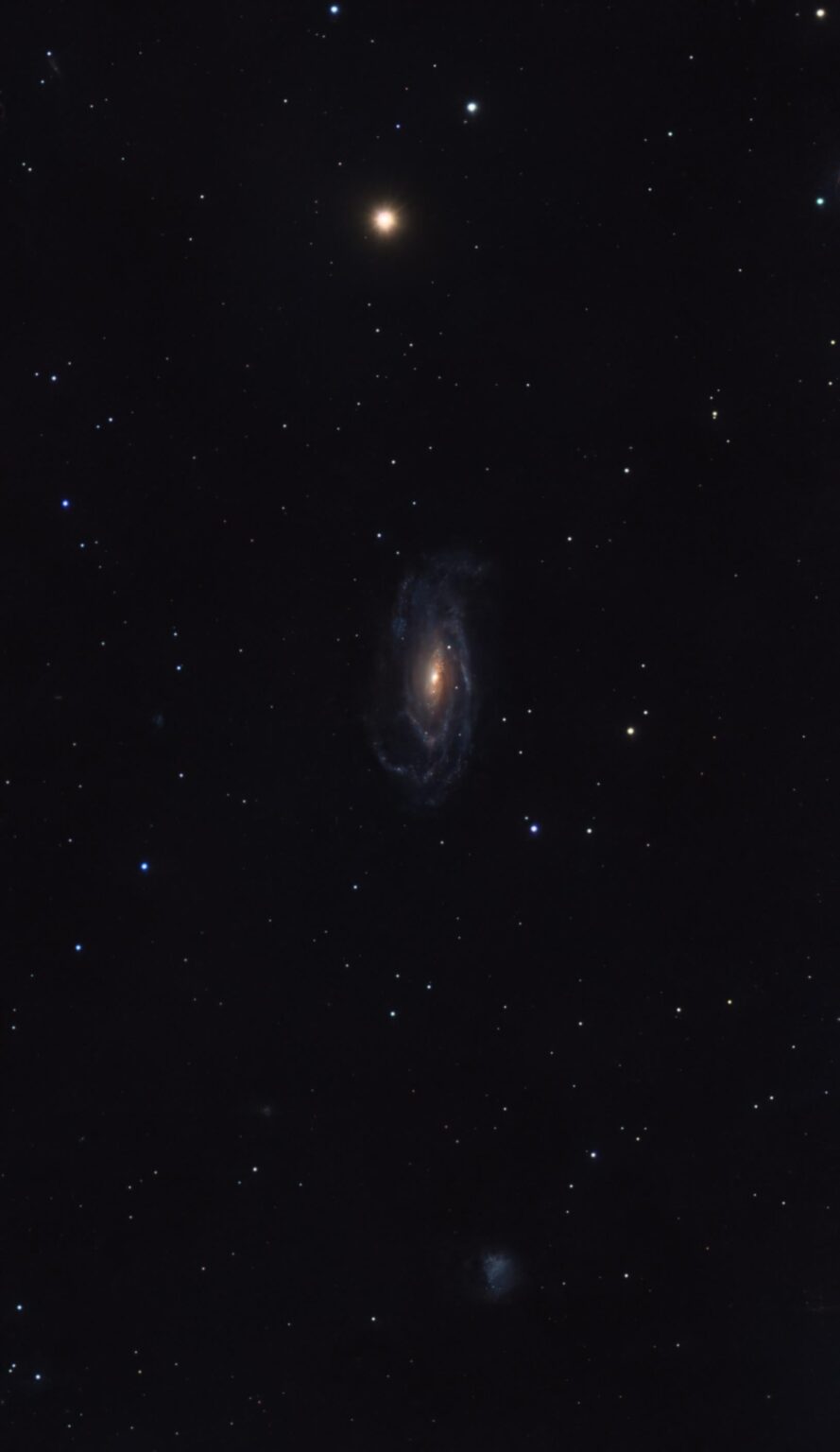 NGC 5033 (Waterbug Galaxy) and SN2025mvn and Holmberg VIII NGC 5033 (Waterbug Galaxy) and SN2025mvn and Holmberg VIII