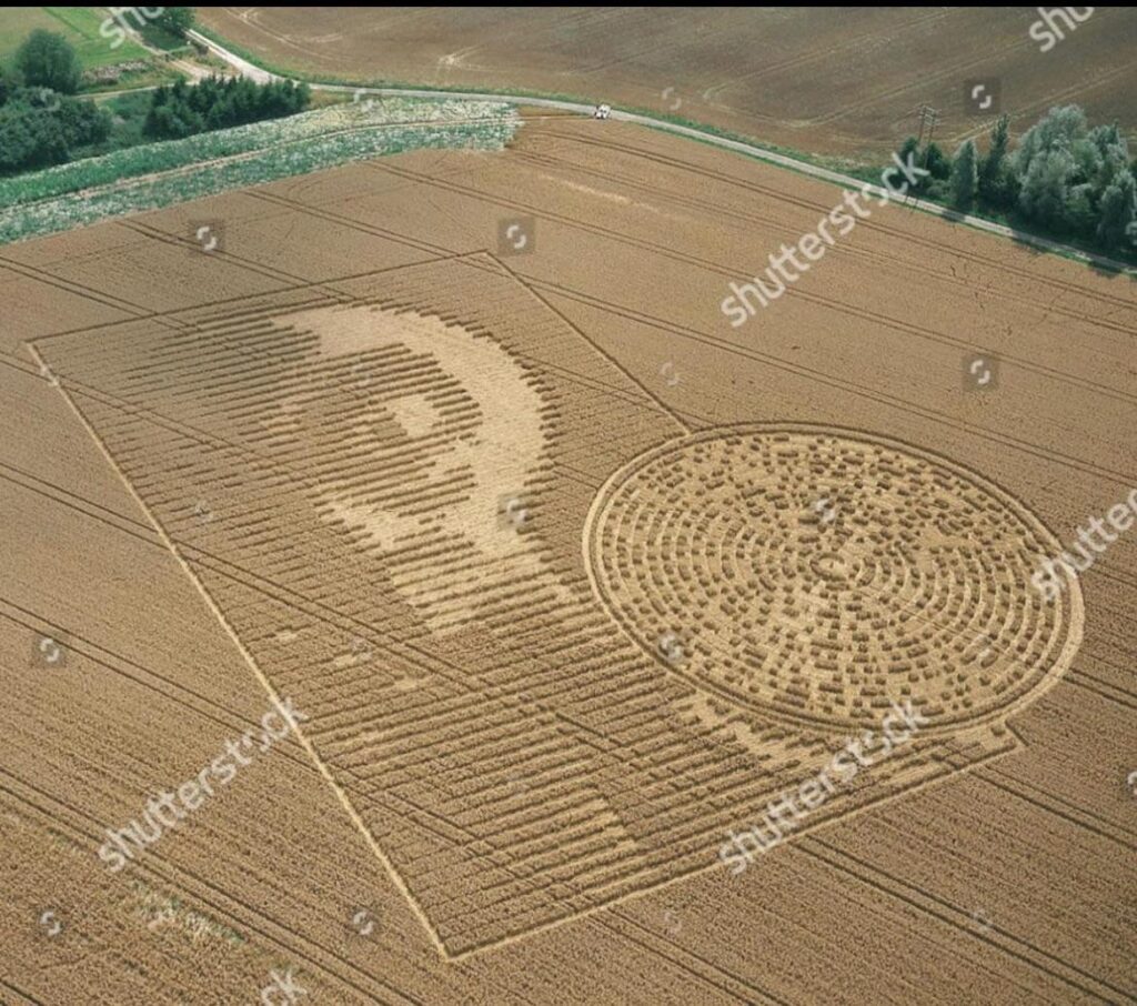 Crop circle discovered in England, 2002.
