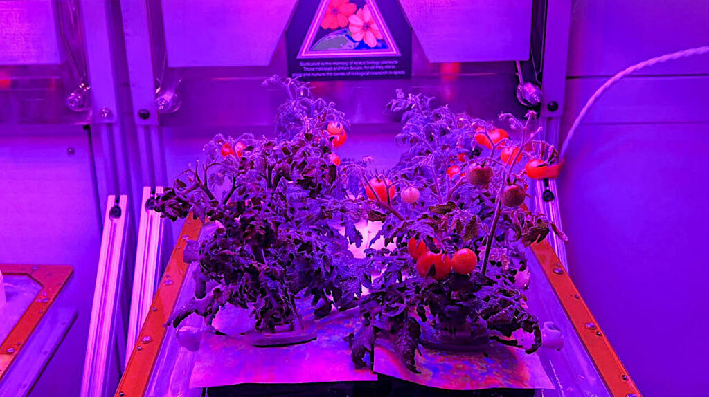 NASA Spaceline Current Awareness List #1,199 8 May 2026 (Space Life Science Research Results) NASA Spaceline Current Awareness List #1,199 8 May 2026 (Space Life Science Research Results)