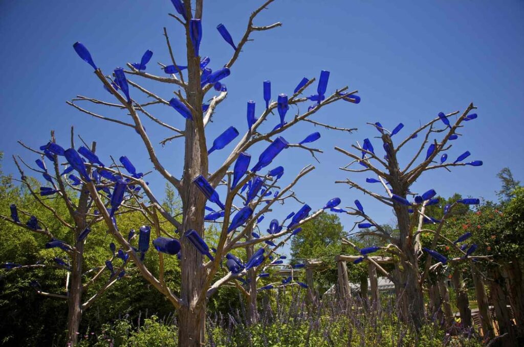 The terrifying origin of “Bottle Trees”: Why thousands of people are hanging blue glass in their yards without realizing the ancient folklore behind them. The terrifying origin of "Bottle Trees": Why thousands of people are hanging blue glass in their yards without realizing the ancient folklore behind them.