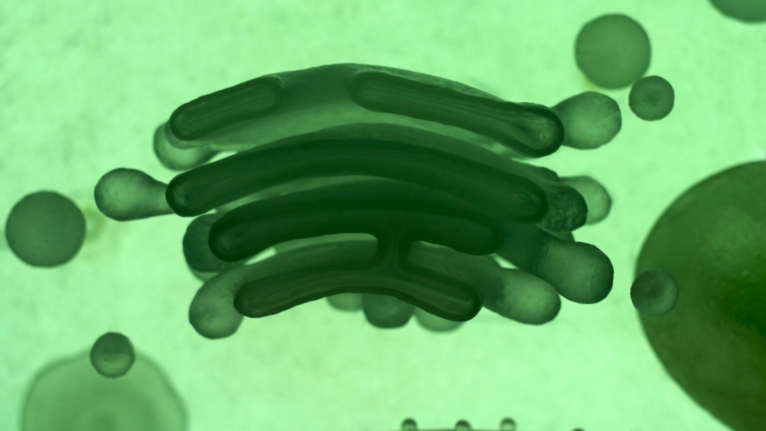 A Whistleblower Claims the CIA Is Searching DNA Sites for Alien-Human Hybrids A Whistleblower Claims the CIA Is Searching DNA Sites for Alien-Human Hybrids