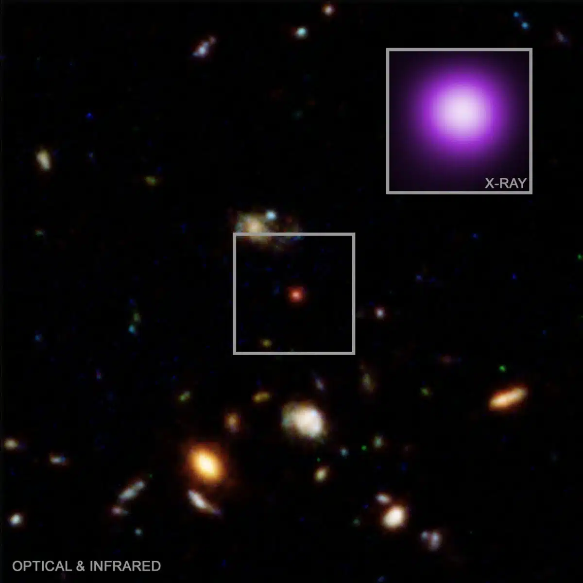 A Distant “little Red Dot” Highlighted In Webb’s Optical And Infrared View, With Its Unexpected X Ray Emission Revealed By Chandra (top Right)