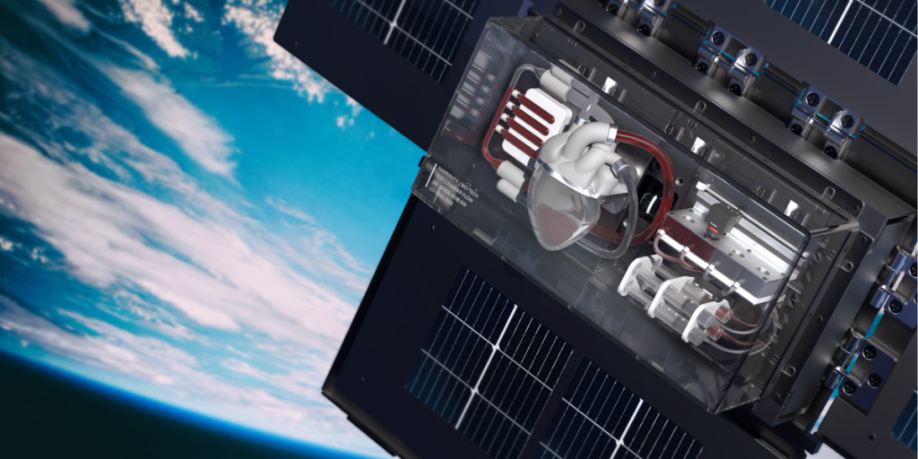 Aerospace company Narravity to launch in Fremont County, bringing microgravity research to Southern Colorado