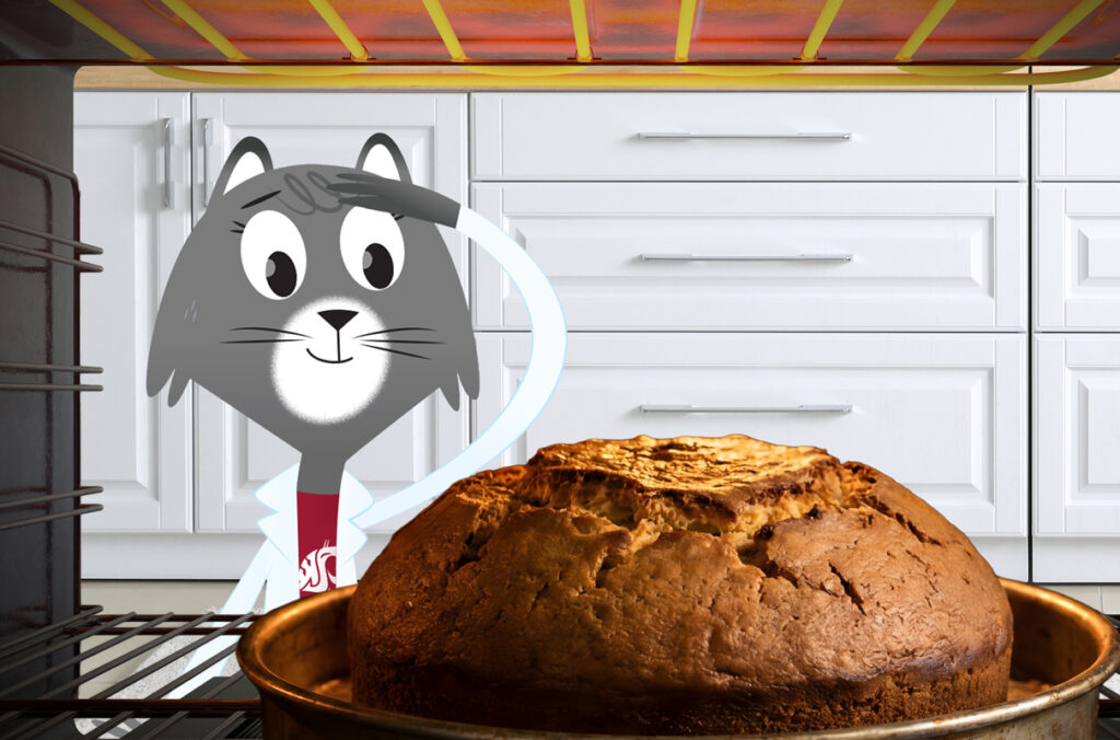 Dr. Universe explains why bread rises in the oven | WSU Insider An illustration featuring Dr. Universe looking at a loaf of bread in an oven.