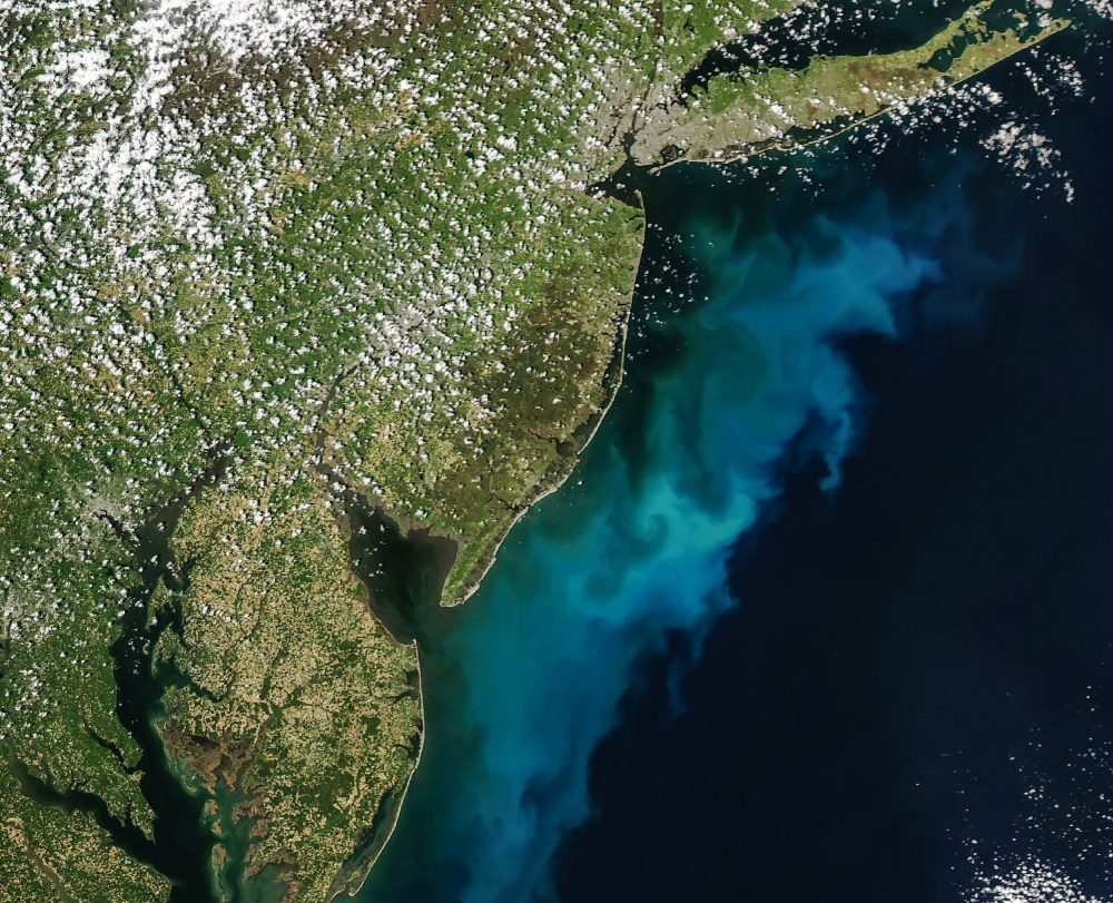 NASA satellites capture a giant bloom spreading off the U.S. coast