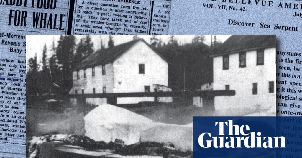 Shark or sea monster? The Canadian marine mystery that still intrigues experts 90 years on