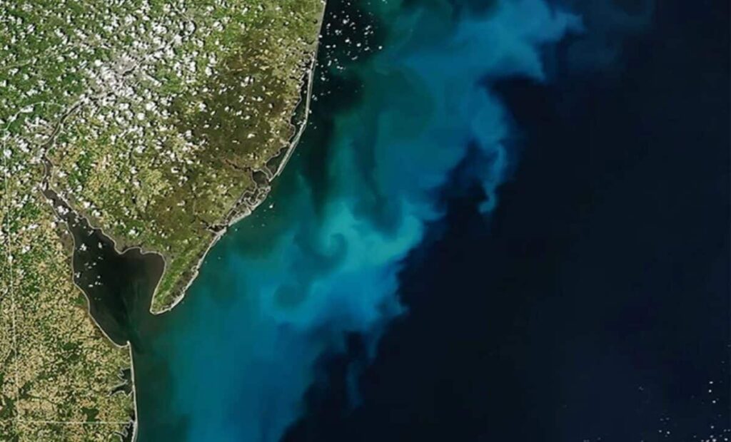 Nasa Spots Massive Blue Green Bloom Swirling Off The Us East Coast, Visible From Space