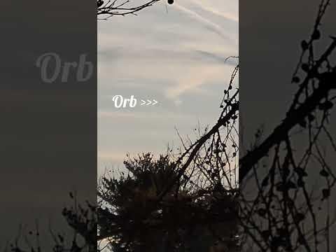 A beautiful Orb spotted in Bel Air, Maryland, USA #viral #viralvideo #video #2026 #uap #ufoキャッチャー