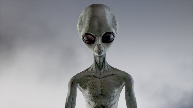 Scary gray alien stands and looks blinking on a dark smoky background. UFO futuristic concept. 3D rendering.