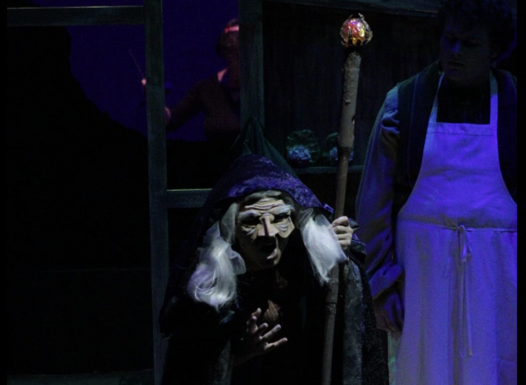 Comet Spotlight: Mya Feiga’s Rise to the Stage – The Telescope Comet Spotlight: Mya Feiga’s Rise to the Stage – The Telescope