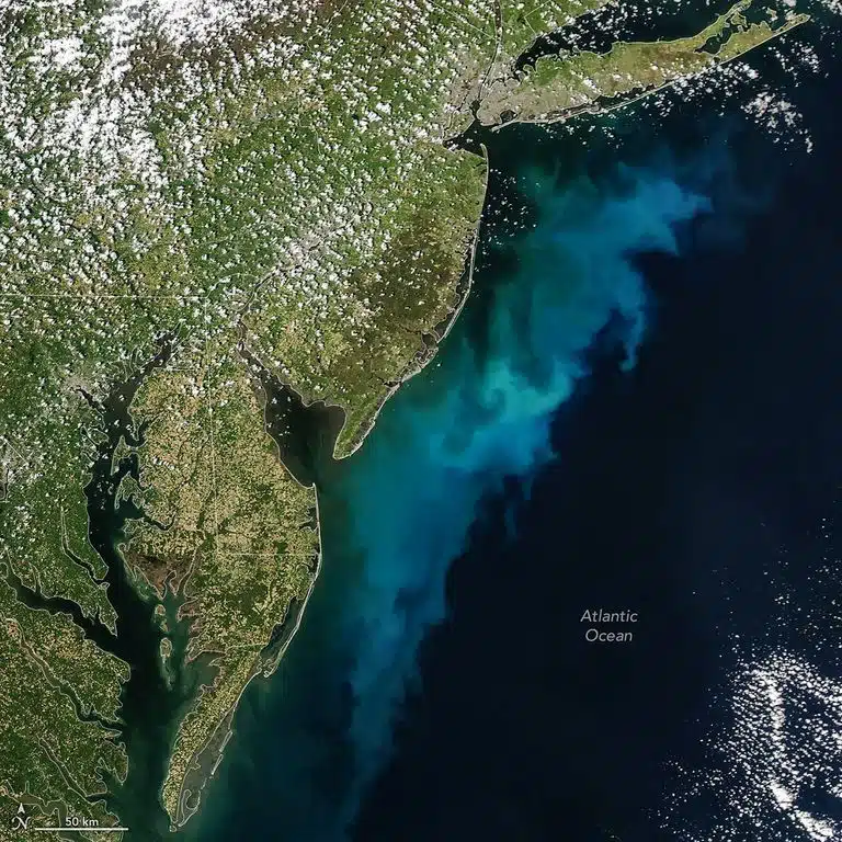 Swirling Phytoplankton Colors The Atlantic Waters