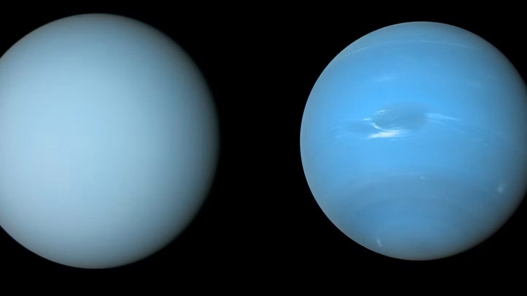 Uranus and Neptune could be full of rocks, new study suggests Uranus on the left and Neptune on the right are both shades of light blue, though Neptune is slightly deeper.