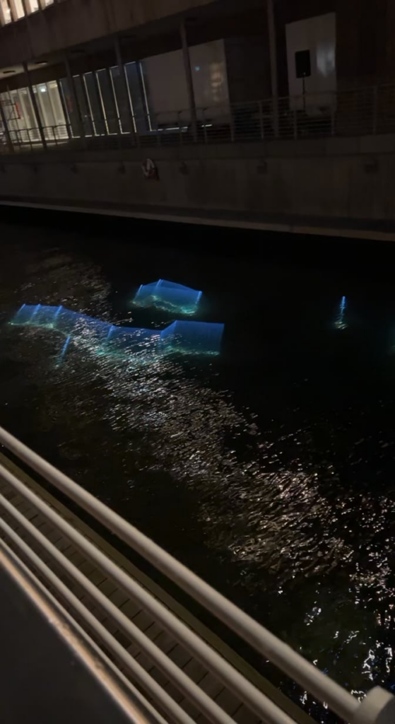 Seen in Oslo. Interesting lights under water.