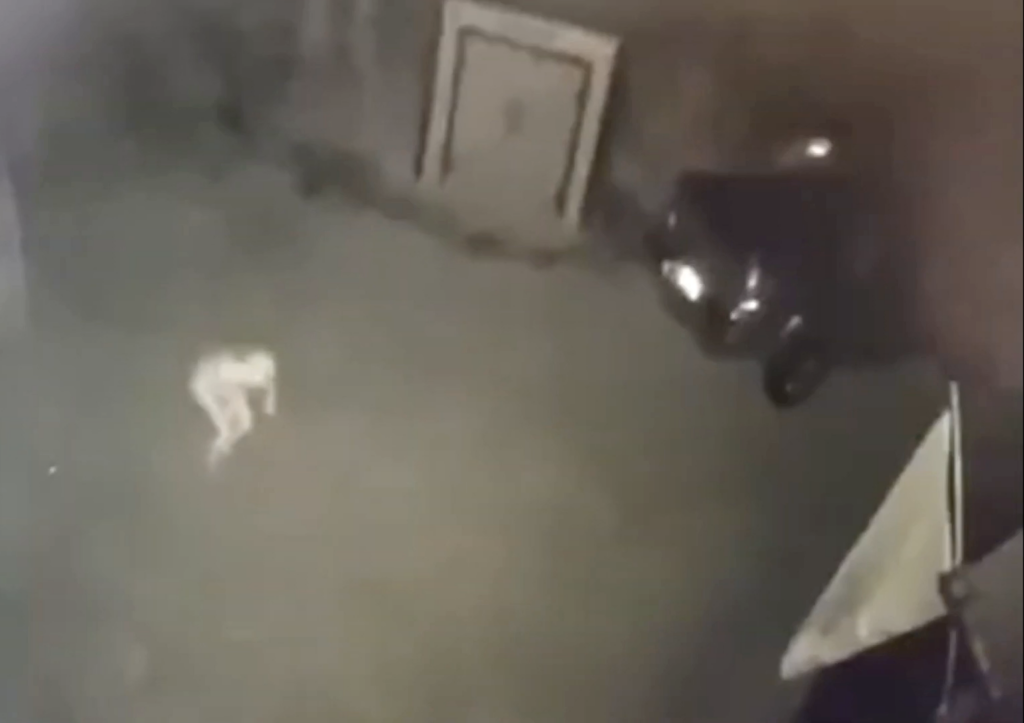 A pale humanoid figure was spotted walking outside of a remote cabin in Kentucky