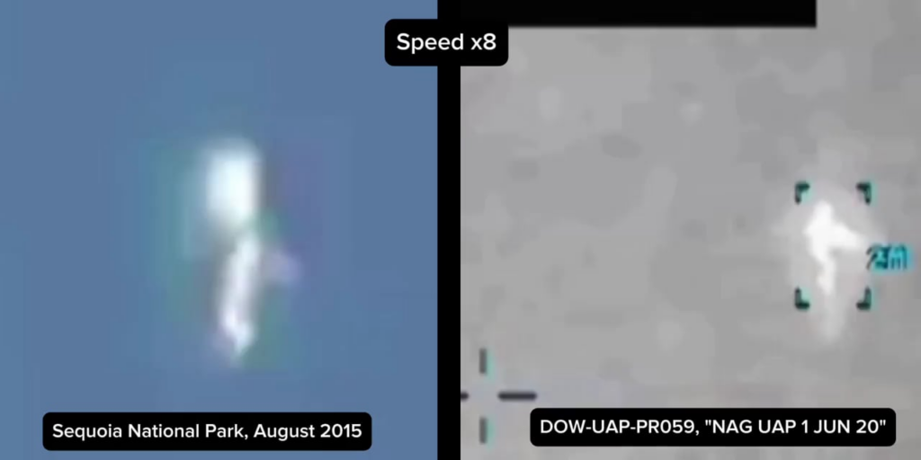The similarity between the 2015 Sequoia National Park sighting and today’s released video