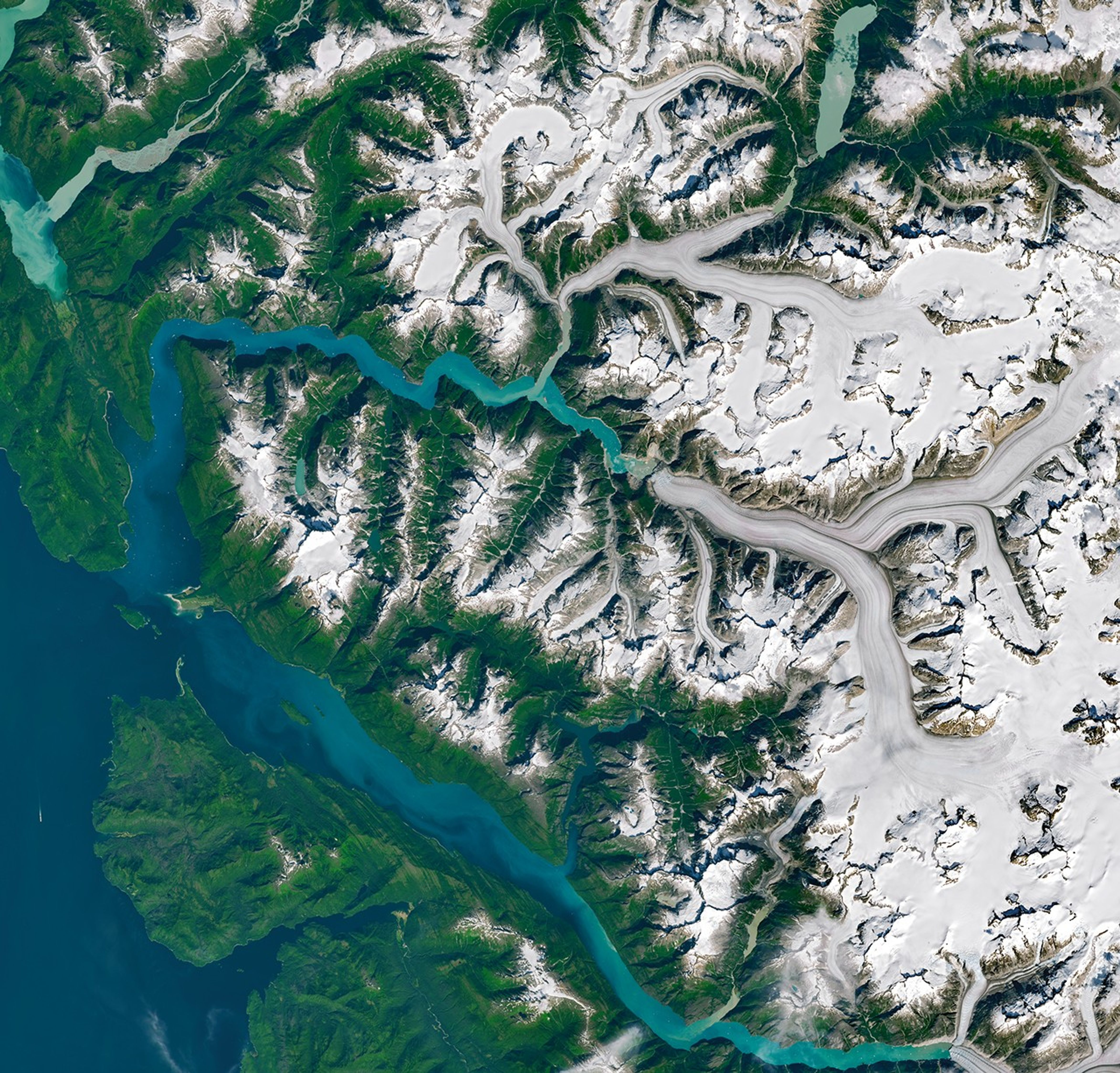 A satellite view shows Tracy Arm, centered, in context with other nearby waterways and glaciers in southeast Alaska.